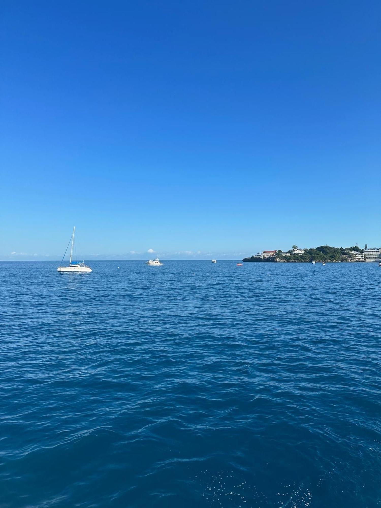 Catalina, Cabrera Oceanview Multi 2 Bd 2 Bath Condo Units With Balcony And Pool المظهر الخارجي الصورة