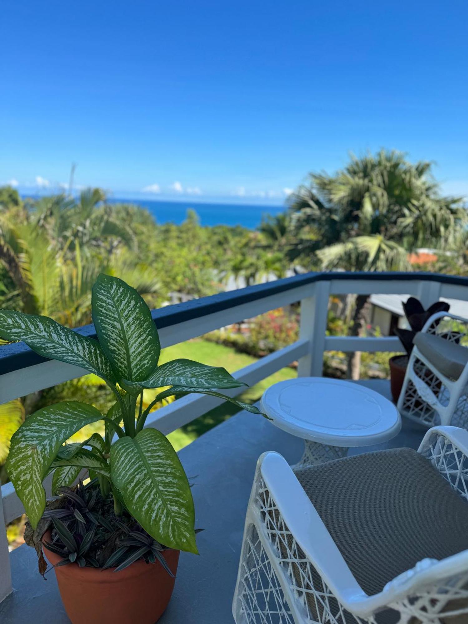 Catalina, Cabrera Oceanview Multi 2 Bd 2 Bath Condo Units With Balcony And Pool المظهر الخارجي الصورة