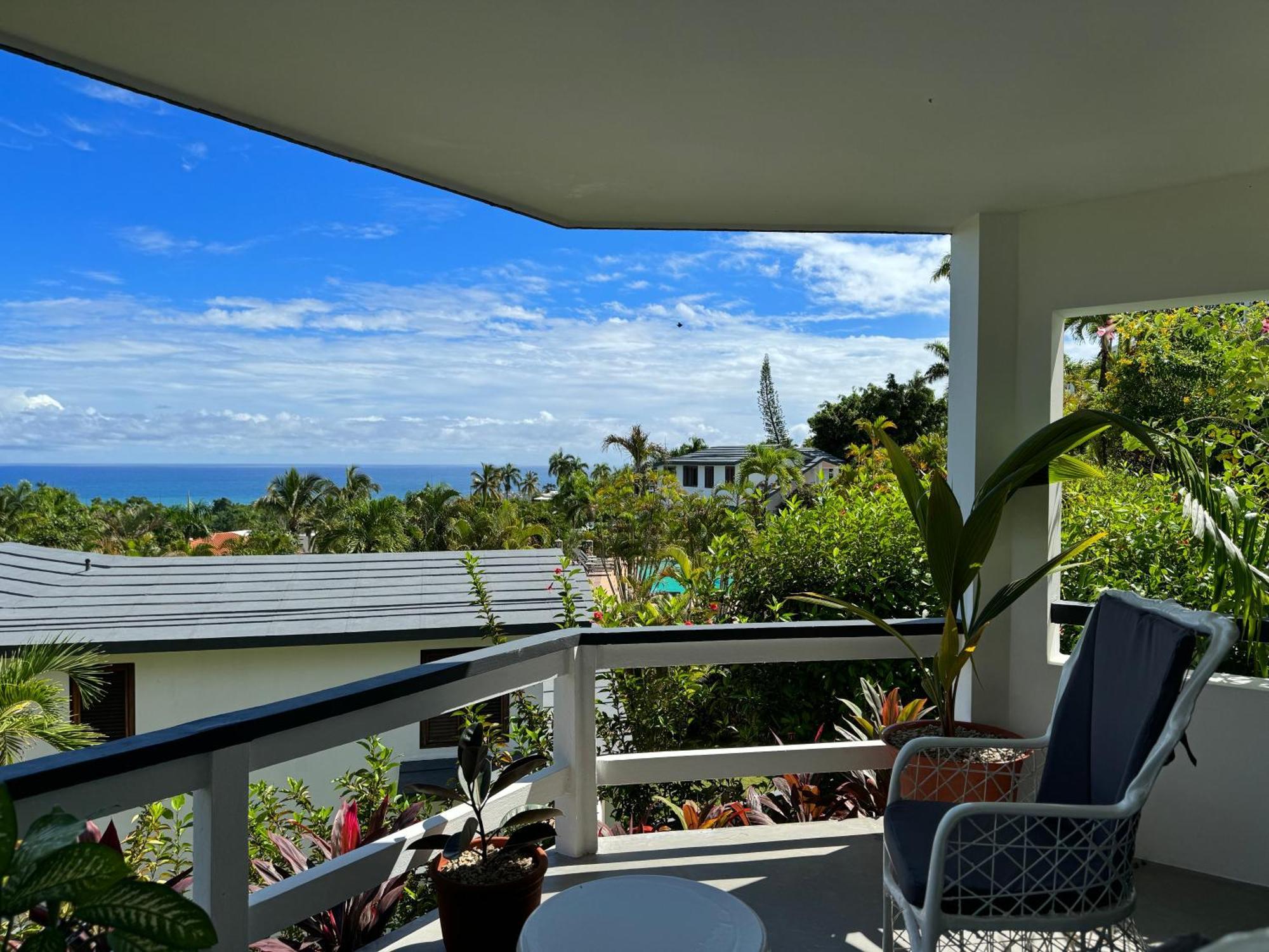 Catalina, Cabrera Oceanview Multi 2 Bd 2 Bath Condo Units With Balcony And Pool المظهر الخارجي الصورة
